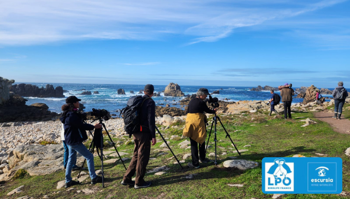 Les séjours Escursia 2025 sur l'île de Ouessant